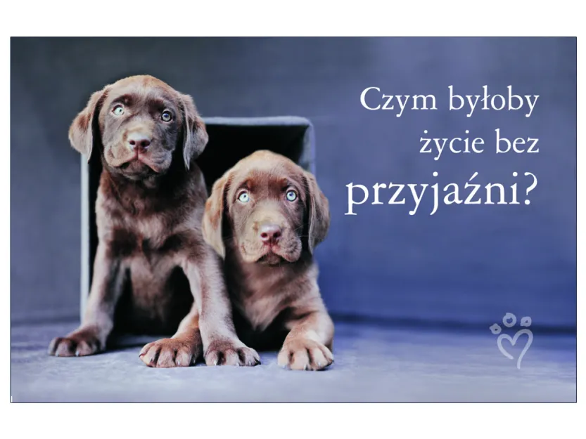 Karta kredytowa - Czym byłoby życie bez przyjaźni?