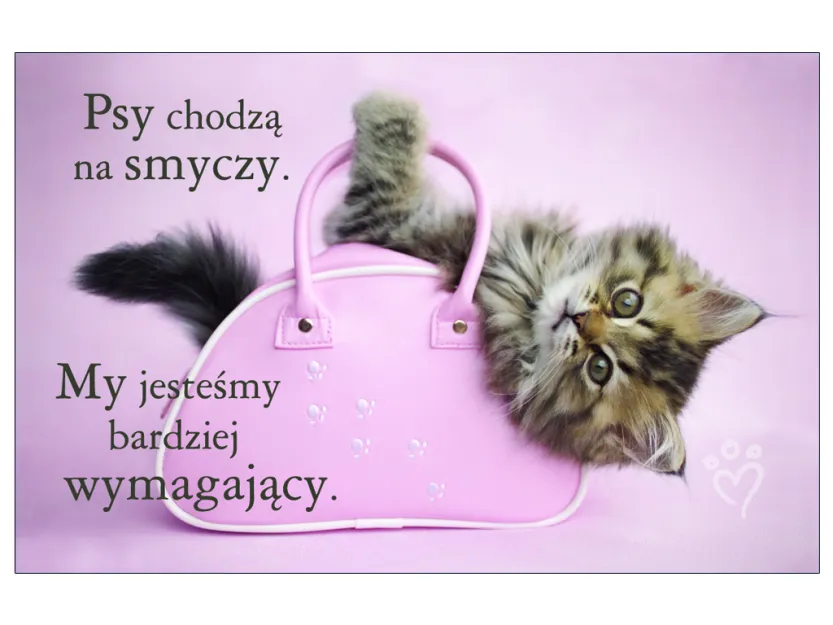 Karta kredytowa - Psy chodzą na smyczy. My jesteśmy bardziej wymagający.