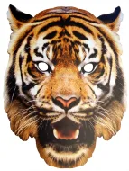 Maska papierowa - Tygrys