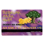 Śmieszne dokumenty - Karta kredytowa - Szkolna Kasa Ocen - 3