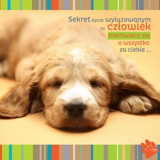 Magnes - sekret bycia wyluzowanym to czlowiek martwiący się o wszystko za Ciebie ....