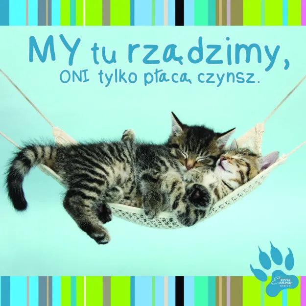 Magnes - MY tu rządzimy, ONI tylko płacą czynsz.