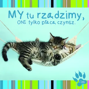 Magnes - MY tu rządzimy, ONI tylko płacą czynsz.