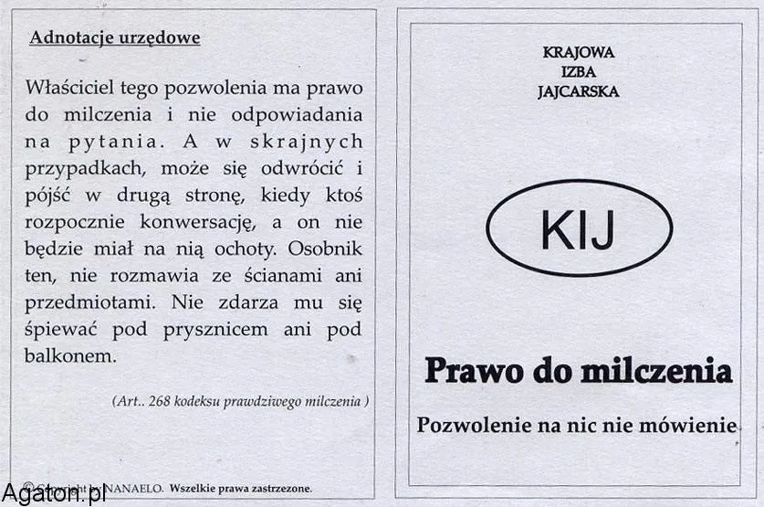 Prawo do milczenia - Pozwolenie na nic nie mówienie