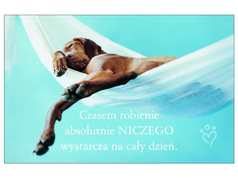 Karta kredytowa - Czasem robienie absolutnie niczego, wystarcza na cały dzień - Prezent