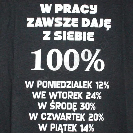 Koszulka - W pracy zawsze daję z siebie 100%