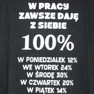 Koszulka - W pracy zawsze daję z siebie 100%