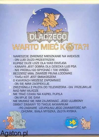 Dyplom - Dlaczego warto mieć kota ?