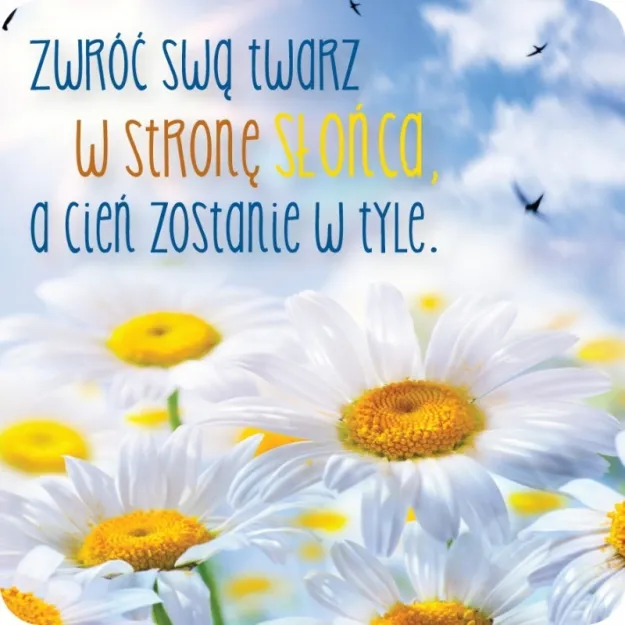 Magnes - Zwróć swą twarz w stronę słońca a cień zostanie w tyle.