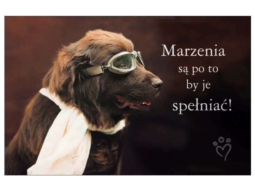 Karta kredytowa - Marzenia są po to by je spełniać!