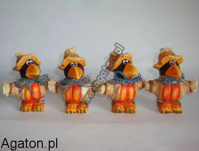 Gawron w kapeluszu