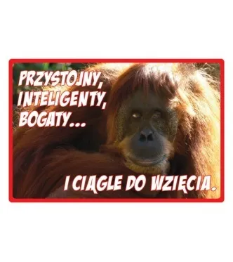 Tabliczka Kukartka cool - Przystojny, inteligentny, bogaty... I ciągle do wzięcia.