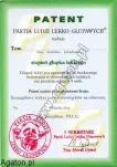 Patent głupka lekkiego - 2
