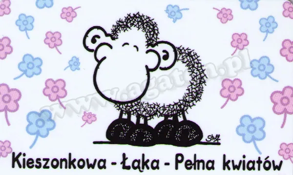 Karta Sheepworld - Kieszonkowa łąka pełna kwiatów