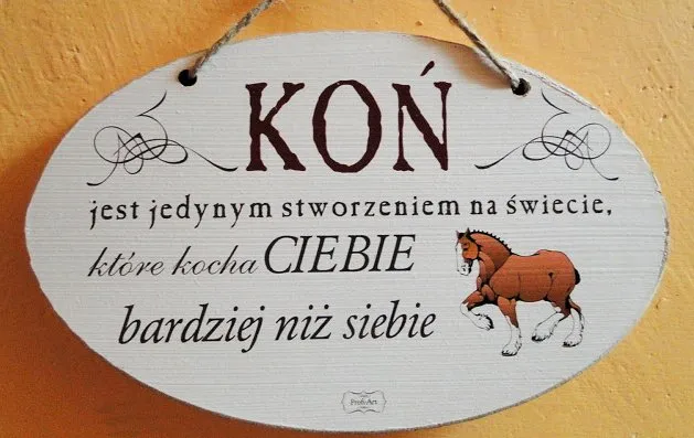 Tabliczka Vintage średnia - Koń jest jedynym stworzeniem na świecie, które ...