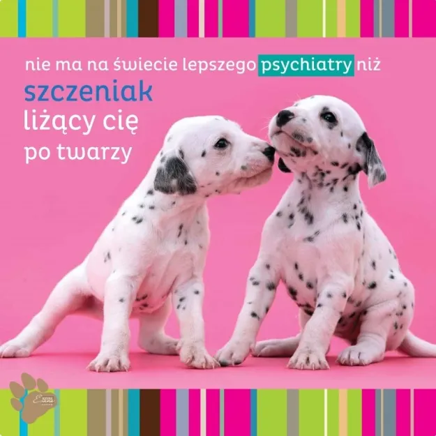 Magnes - Nie ma na świecie lepszego psychiatry niż szczeniak liżący Cię po twarzy