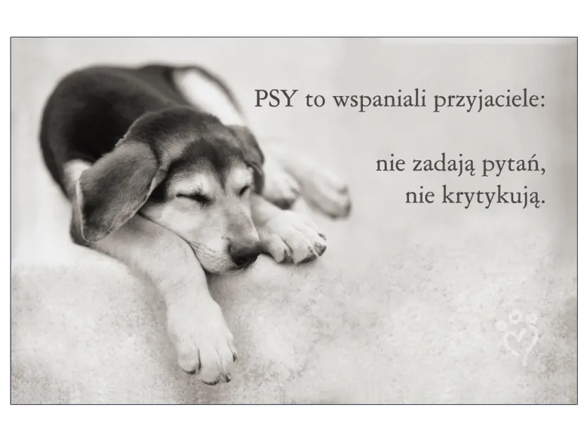 Karta kredytowa - Psy to wspaniali przyjaciele: nie zadają pytań, nie krytykują