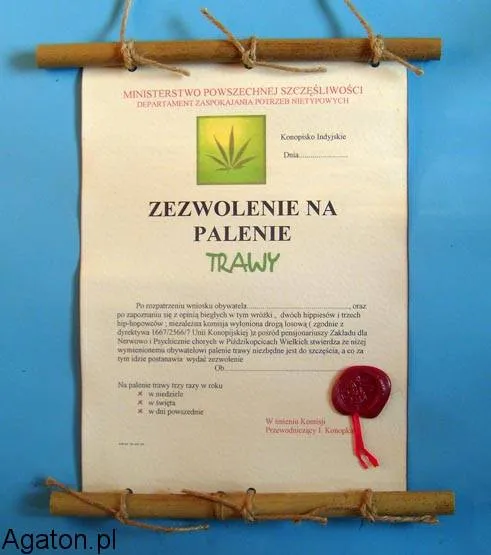 Dyplom z bambusem - Zezwolenie na palenie trawy