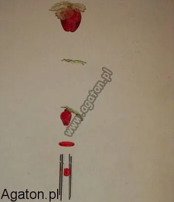 Dzwonek truskawka
