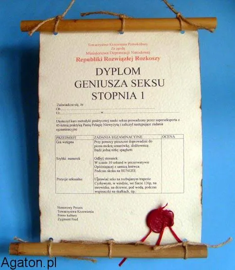Dyplom z bambusem - Geniusz sexu