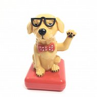 Kiwak solarny - Pies w okularach