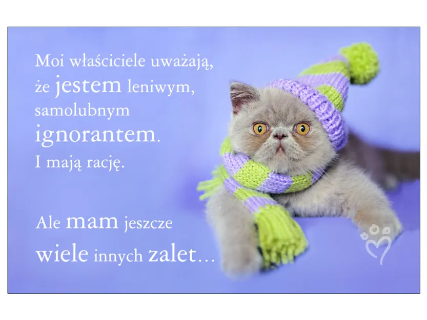 Karta kredytowa - Moi właściciele uważają, że jestem leniwym,samolubnym ignorantem. I mają rację. Ale mam jeszcze wiele innych zalet ...