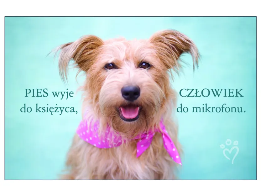 Karta kredytowa - Pies wyje do księżyca, człowiek do mikrofonu
