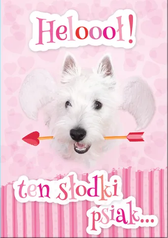 Karnet Kukartka PP - Heloooł! Ten słodki psiak...