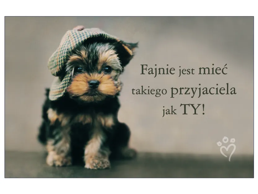 Karta kredytowa - Fajnie jest mieć takiego przyjaciela jak TY!