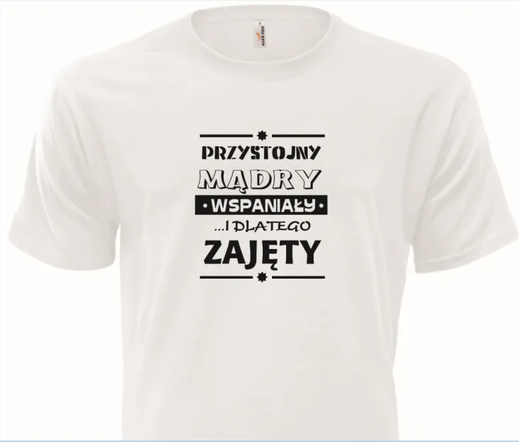 Koszulka biała - Przystojny, mądry, wspaniały ... i dlatego zajęty
