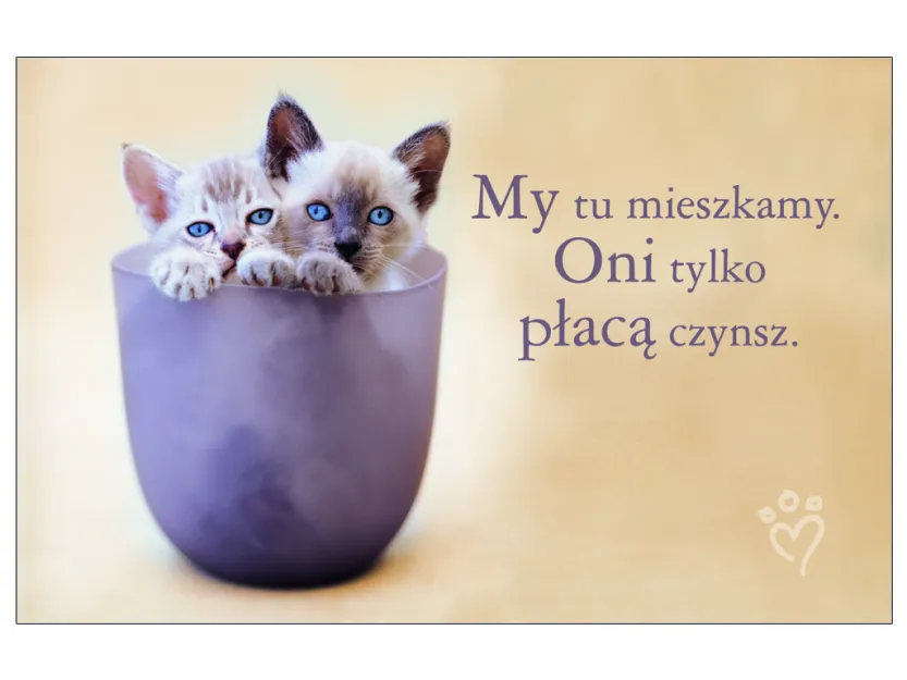 Karta kredytowa - My tu mieszkamy. Oni tylko płacą czynsz.