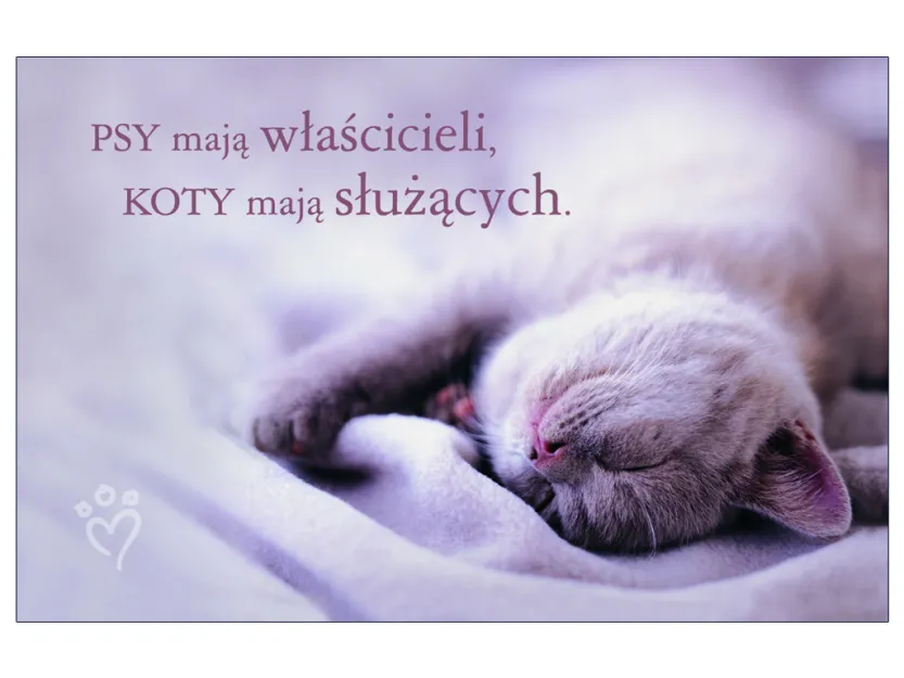 Karta kredytowa - Psy mają właścicieli. Koty mają służących.