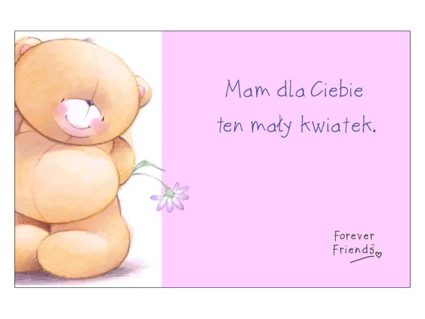 Karta kredytowa - Mam dla Ciebie ten mały kwiatek. Ot tak poprostu, bez okazji... bo bardzo Cię lubię