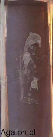 Kostka szklana 3D, duża - delfiny