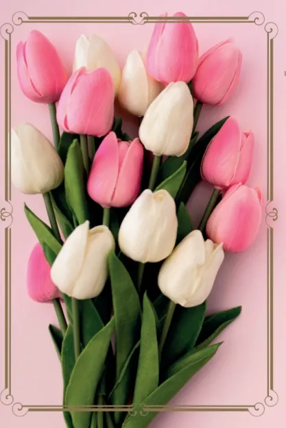 Karnet 1K - Tulipany