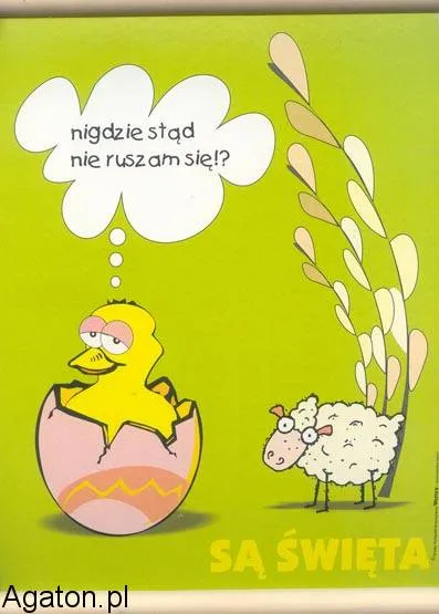 Dyplom - Są Święta Wielkanocne - Nigdzie stąd nie ruszam się?