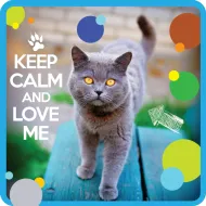 Magnes - Keep calm and love me