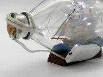 Rafandynka - Duża led - 3