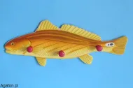 Wieszak - ryba