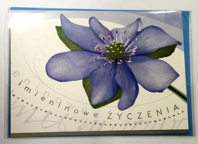 Karnet B6 - Imieninowe życzenia