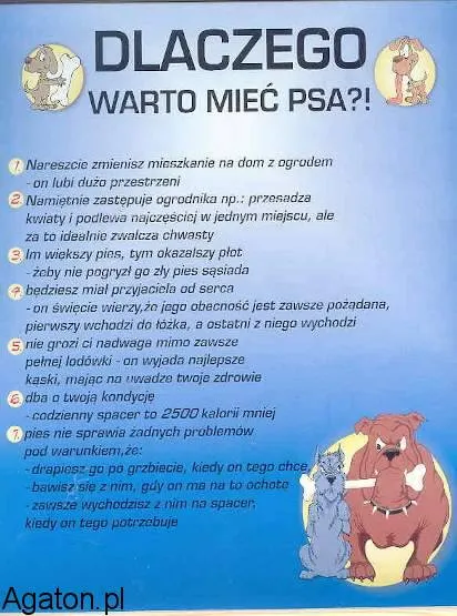 Dypolm - Dlaczego warto mieć psa ?