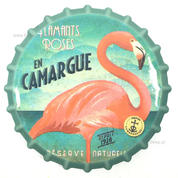 Magnes - Flaming