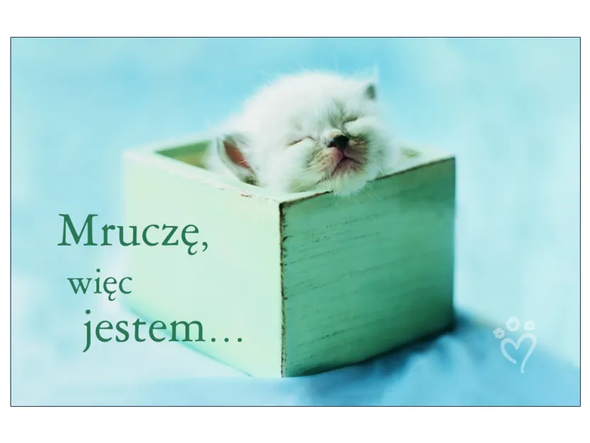 Karta kredytowa - Mruczę, więc jestem ...