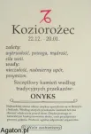 KOZIOROŻEC - Szczęsliwy kamień zodiaku z zawieszką- ONYKS - 2