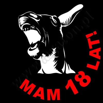Koszulka - Mam 18 lat (osioł)