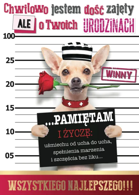 Karnet 3D - Chwilowo jestem dość zajęty, ale Twoich urodzinach pamiętam...