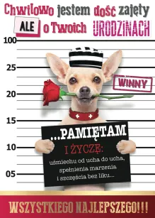Karnet 3D - Chwilowo jestem dość zajęty, ale Twoich urodzinach pamiętam...