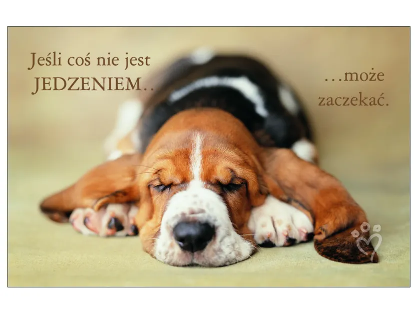 Karta kredytowa - Jeśli coś nie jest jedzeniem... może poczekać
