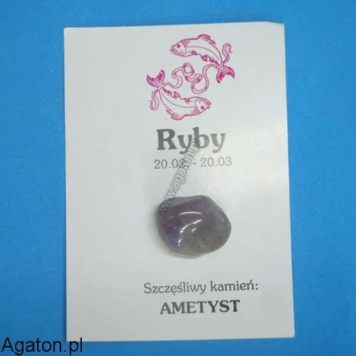 RYBY - Szczęśliwy kamień zodiaku - AMETYST