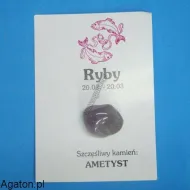 RYBY - Szczęśliwy kamień zodiaku - AMETYST